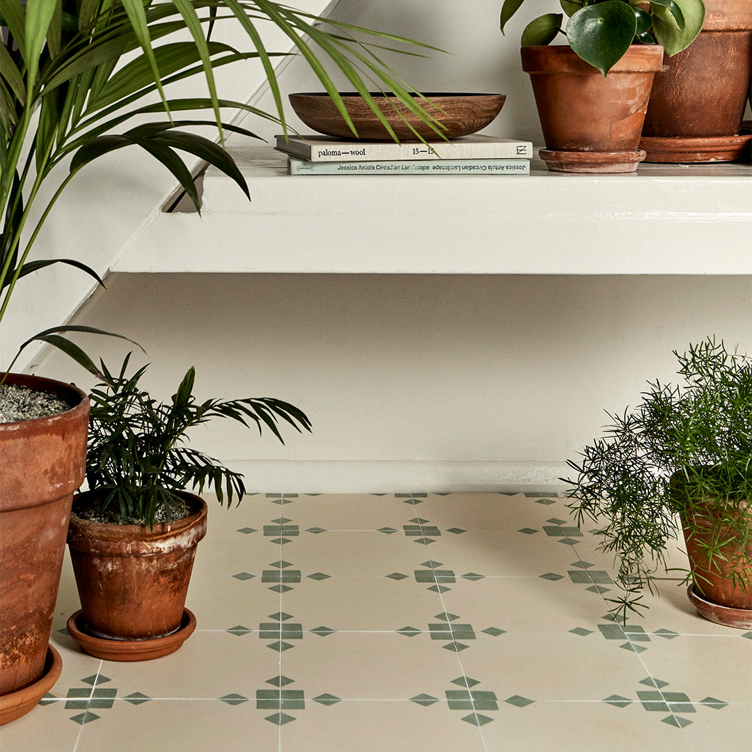 Anthropology Green