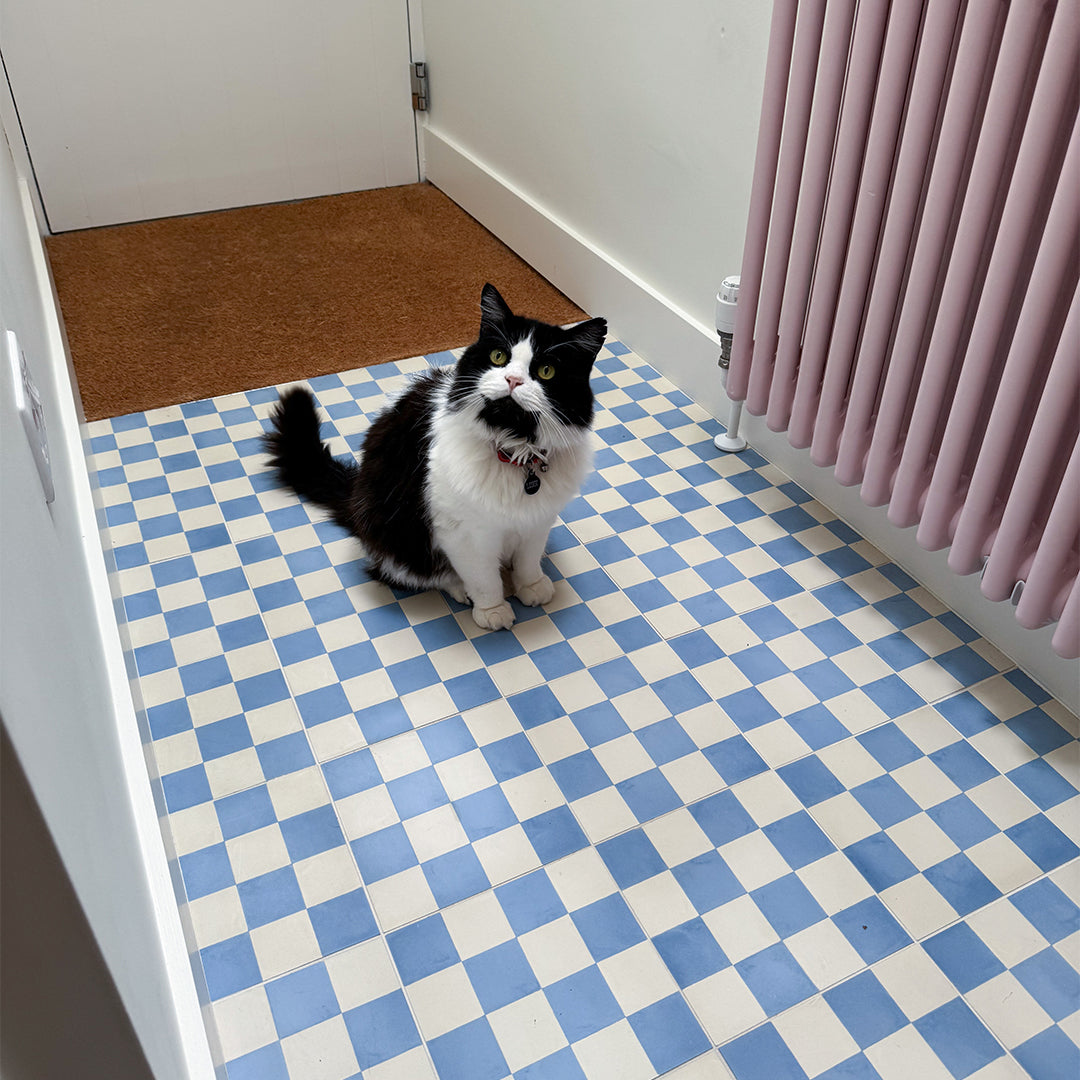 Blue Checkers